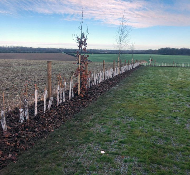 SDR hedging