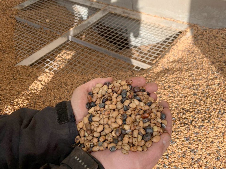 Grain cleaning Bucks