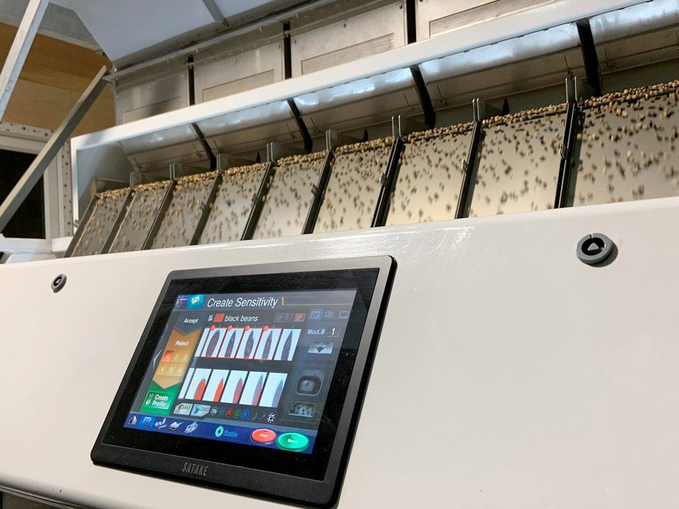 Grain sorting Bucks